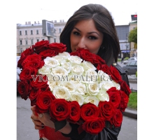 51 роза: красные + белые