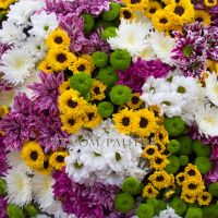 Огромный букет из хризантем (101)