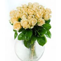 25 роз «Пич Аваланж»