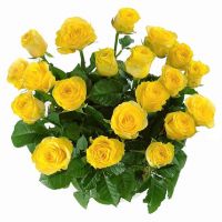 29 роз «Илиос»