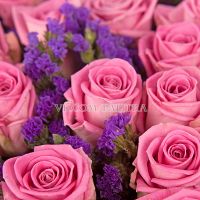 101 розовая роза со статицей