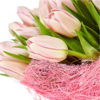 Букет розовых тюльпанов «Вуаль»