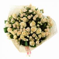 «Нежные чувства»