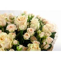 «Нежные чувства»