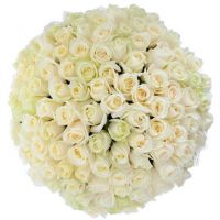 101 белая роза (40 см)