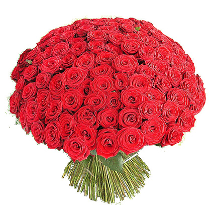 101 красная роза по акции (40 см)