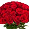 51 красная роза по акции (40 см)