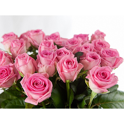 25 роз «Аква»