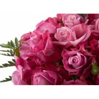 «Скипитр для блондинки»