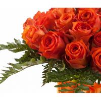 «Солнце пустыни»