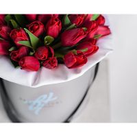 Красные тюльпаны в коробке