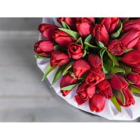 Красные тюльпаны в коробке