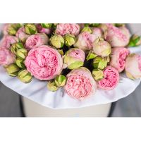 Пионовидные кустовые розы в коробке