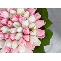 Коробка с белыми и нежно-розовыми тюльпанами