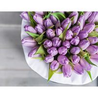 Коробка с нежно-сиреневыми тюльпанами