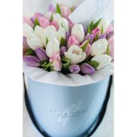 Нежное сочетание тюльпанов в коробке