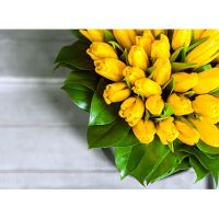 Коробка от Bella Fiori с желтыми тюльпанами