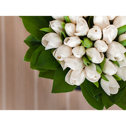 Белые тюльпаны в стильной коробке 