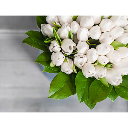 Белые тюльпаны в стильной коробке 