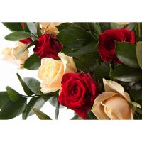 «Взаимная симпатия»