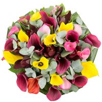 Фонтан эмоций