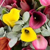 Фонтан эмоций