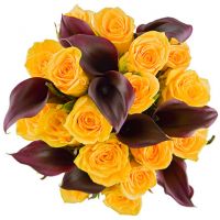 Кружимся в вальсе