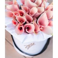 Каллы персиковые в белой коробке