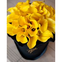 Желтые каллы в премиум коробке