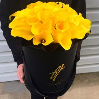 Желтые каллы в премиум коробке