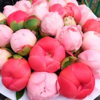 Коробка с коралловыми и розовыми пионами