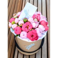 Коробка с коралловыми и розовыми пионами