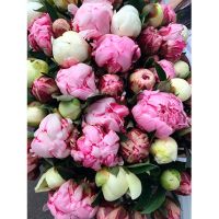 Коробка с розовыми и белыми пионами