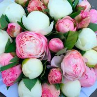 Нежное сочетание пионов в коробке