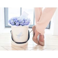 Голубые гиацинты в коробке