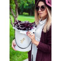 Каллы темно-фиолетовые в коробке Royal