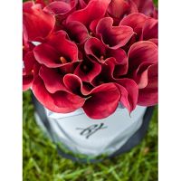 Каллы красные в коробке Royal