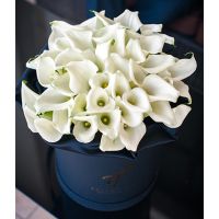 Белые каллы в коробке Royal
