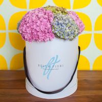 Гортензии в коробке от Bella Fiori