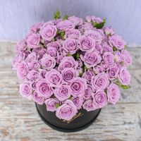 Сиреневые розы кустовые в коробке