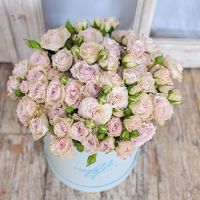 Кустовые розы пастельно-сиреневые в коробке