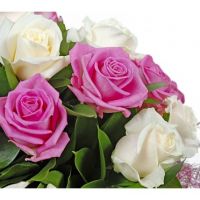 «Брызги эмоций»