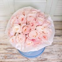 Пионовидные розы Девида Остина нежно-розовые в коробке