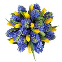 Лазурный берег