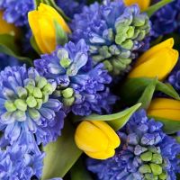 Лазурный берег