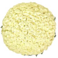 201 белая роза в корзине