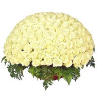 201 белая роза в корзине