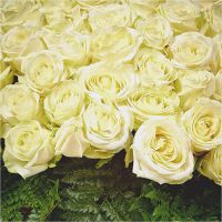 201 белая роза в корзине