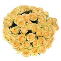 51 роза кремовая