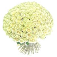 201 роза белая